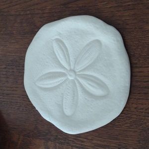 Sand Dollar Bisque Trinket Wall Decor